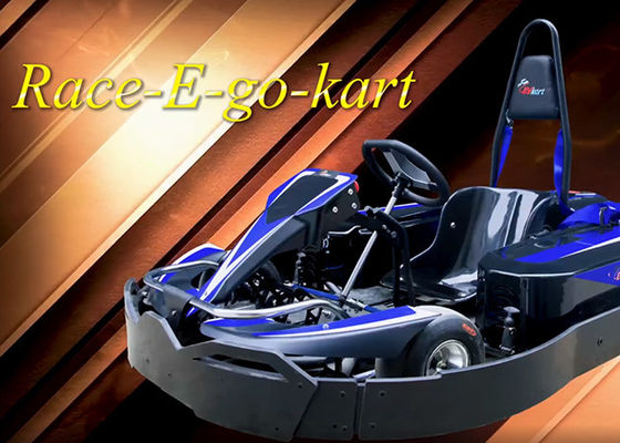 4000W 대회 Go Kart 2.5h 드라이빙 전문 레이싱 Go Kart